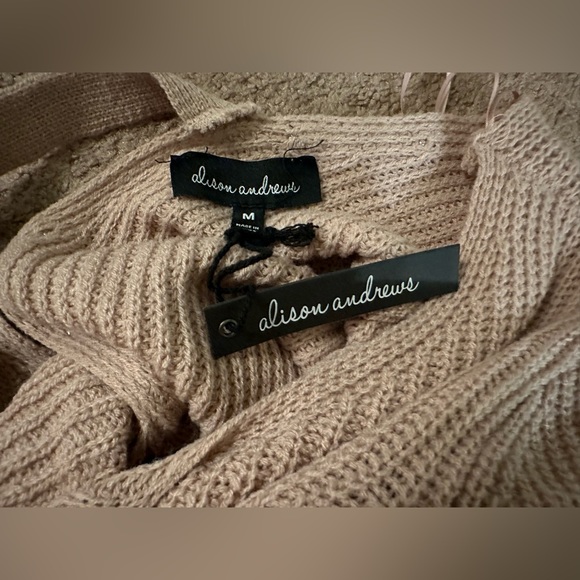 Alison Andrews Women’s Beige Pullover Sweater Twisted Back V-neck Pearls Size M - Picture 9 of 13